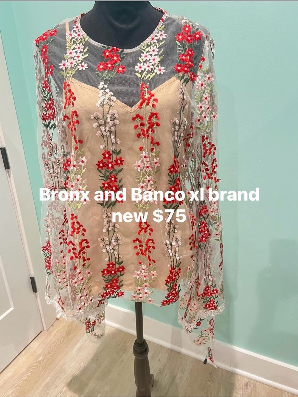 Bronx and Banco Sheer Floral Embroidered Overlay in Red and Nude